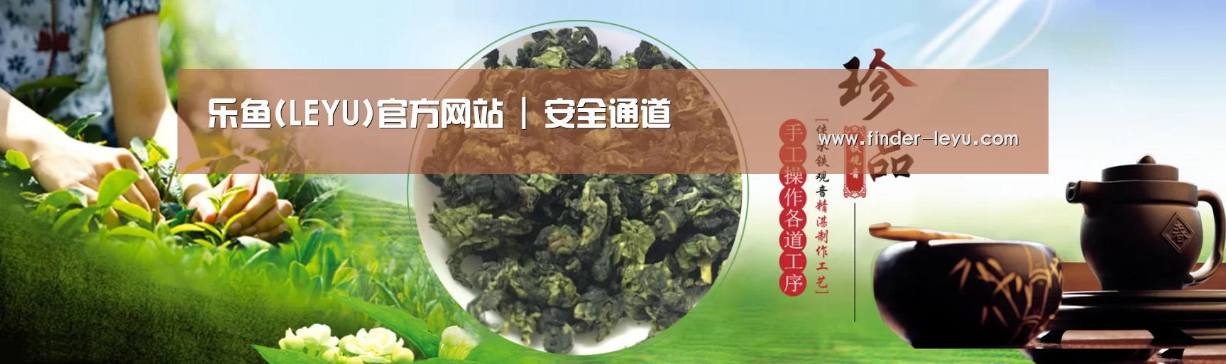 易优Cms-演示站