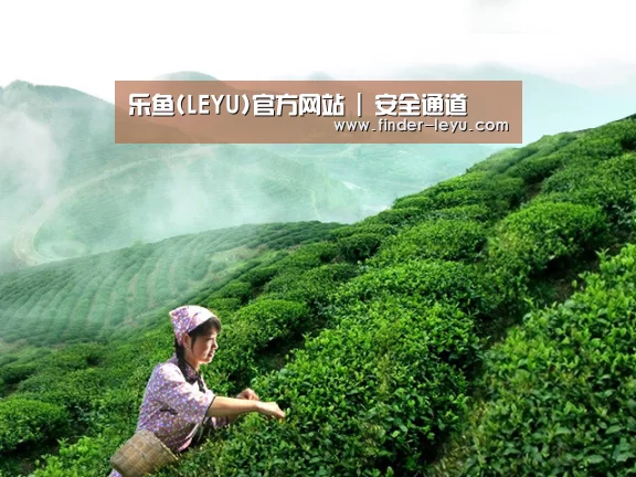 乐鱼(LEYU)官方网站 | 安全通道